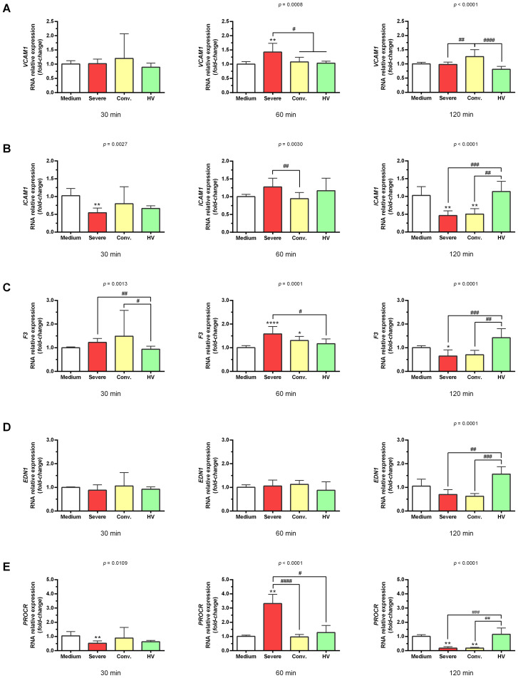 Figure 2