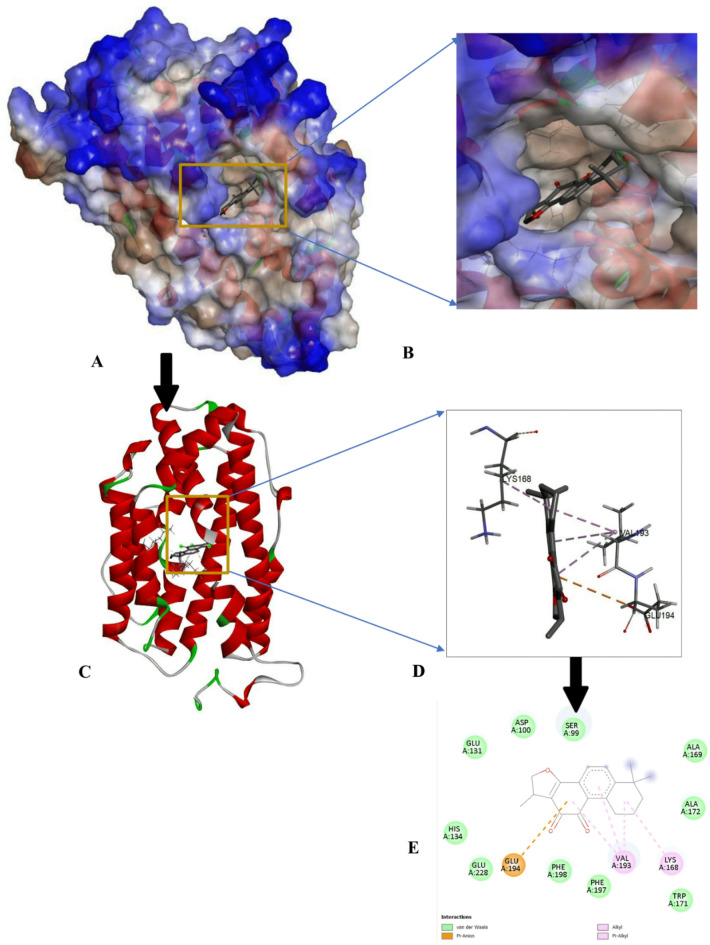 Figure 5
