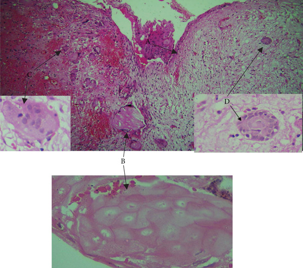 Figure 10