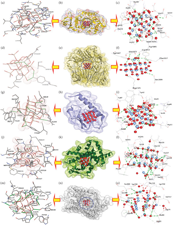 Figure 9