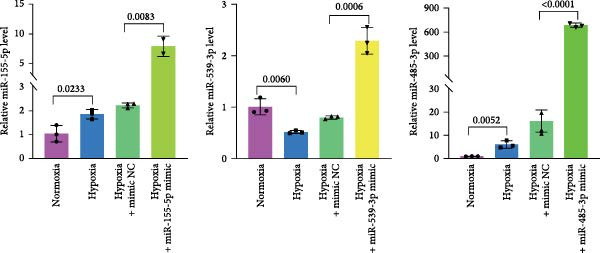 Figure 21