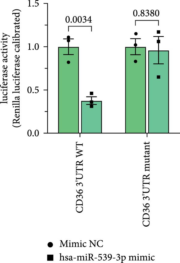 Figure 24