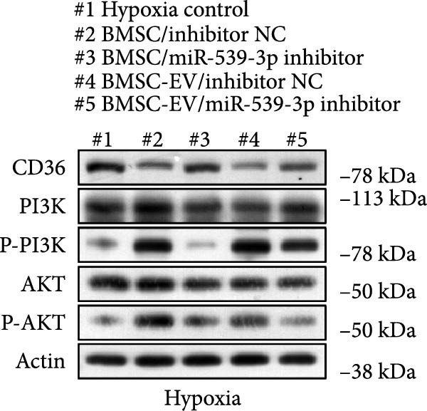 Figure 32