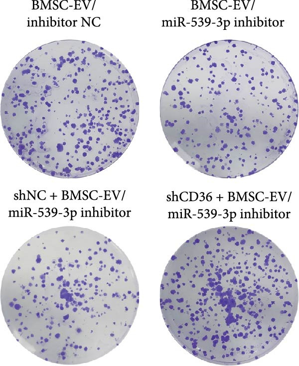 Figure 35
