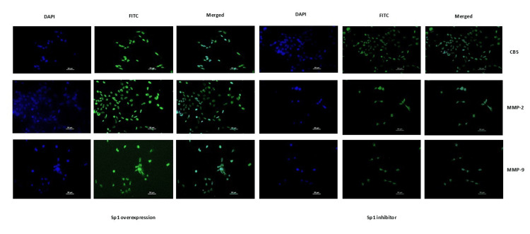 Figure 10