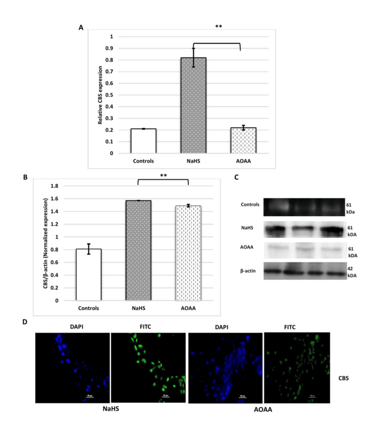 Figure 11
