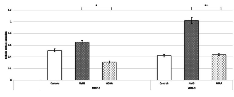 Figure 13