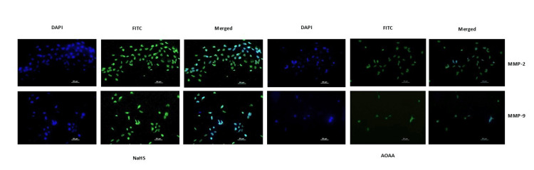 Figure 15