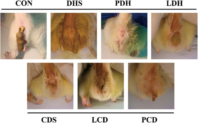 Figure 12