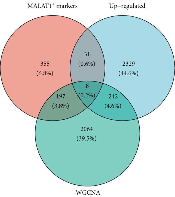 Figure 18