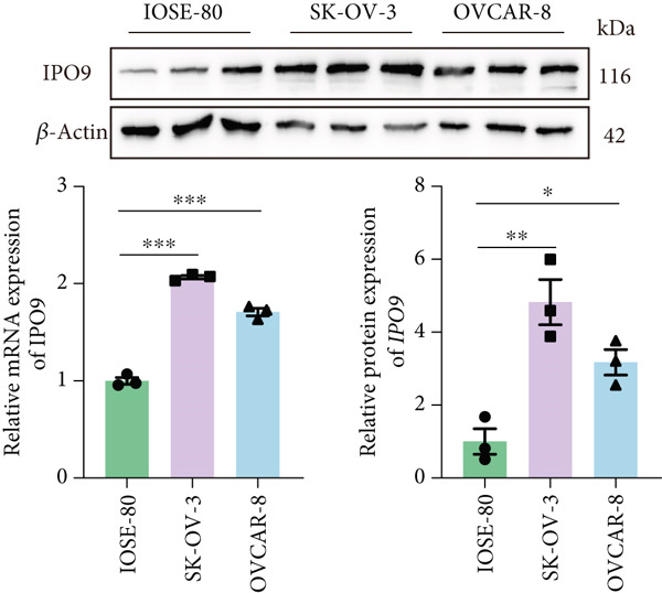 Figure 20