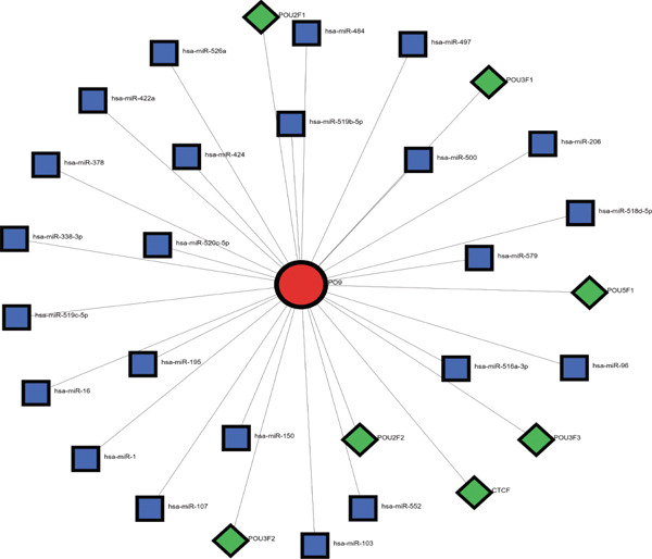 Figure 21