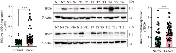 Figure 23