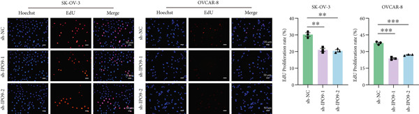 Figure 24