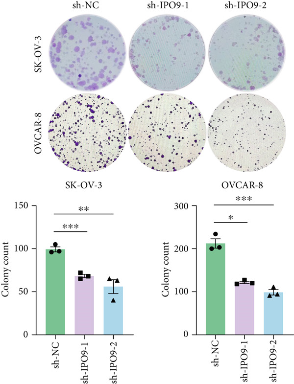 Figure 26