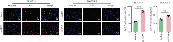 Figure 27