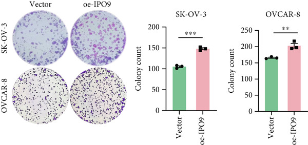 Figure 29