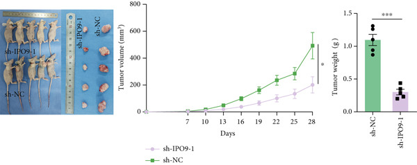 Figure 30