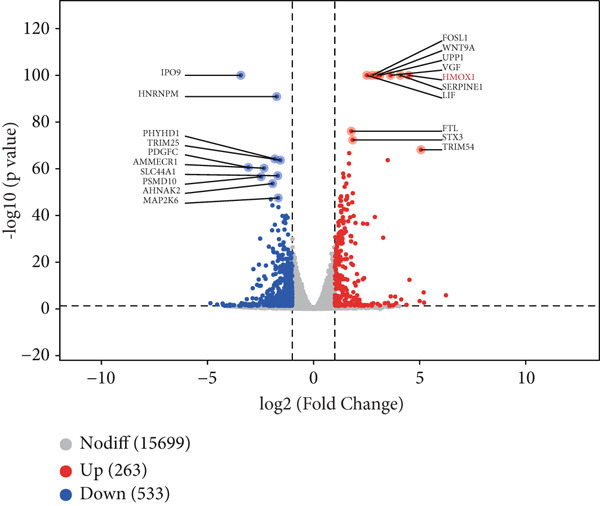 Figure 31