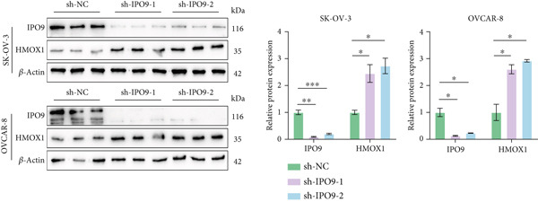 Figure 35