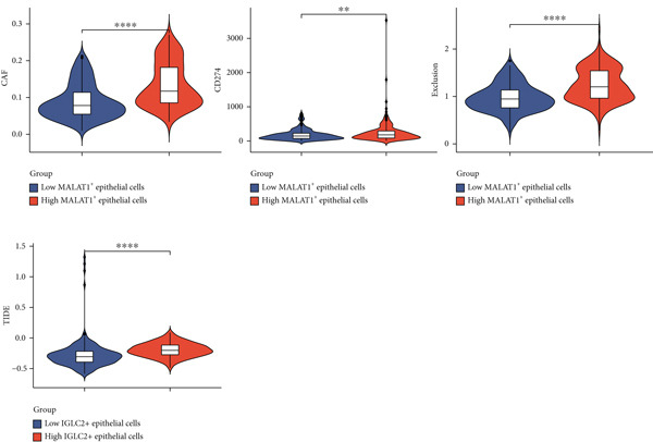 Figure 43