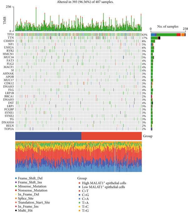 Figure 44