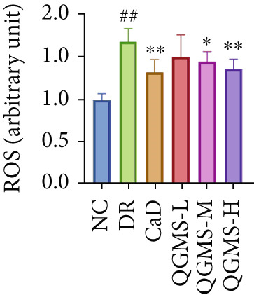 Figure 11