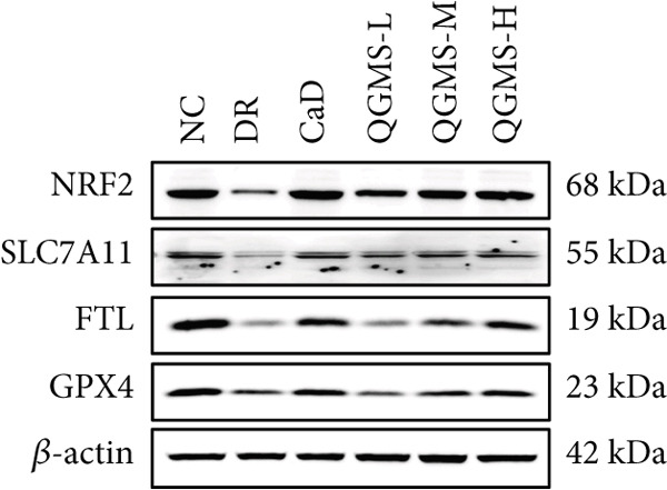 Figure 16