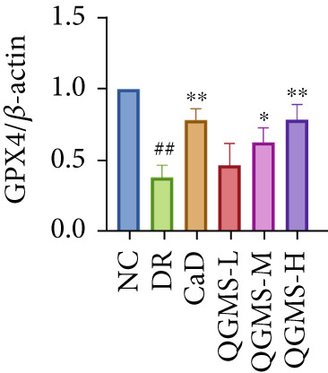 Figure 17