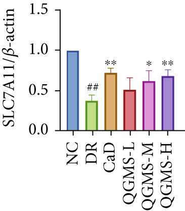 Figure 19