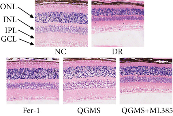Figure 24