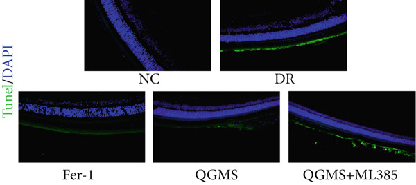 Figure 26