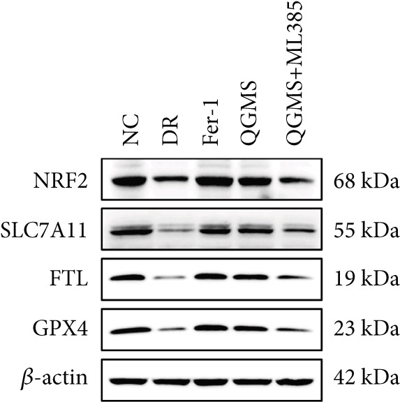 Figure 35