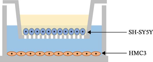 Figure 19