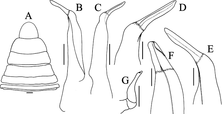 Figure 8
