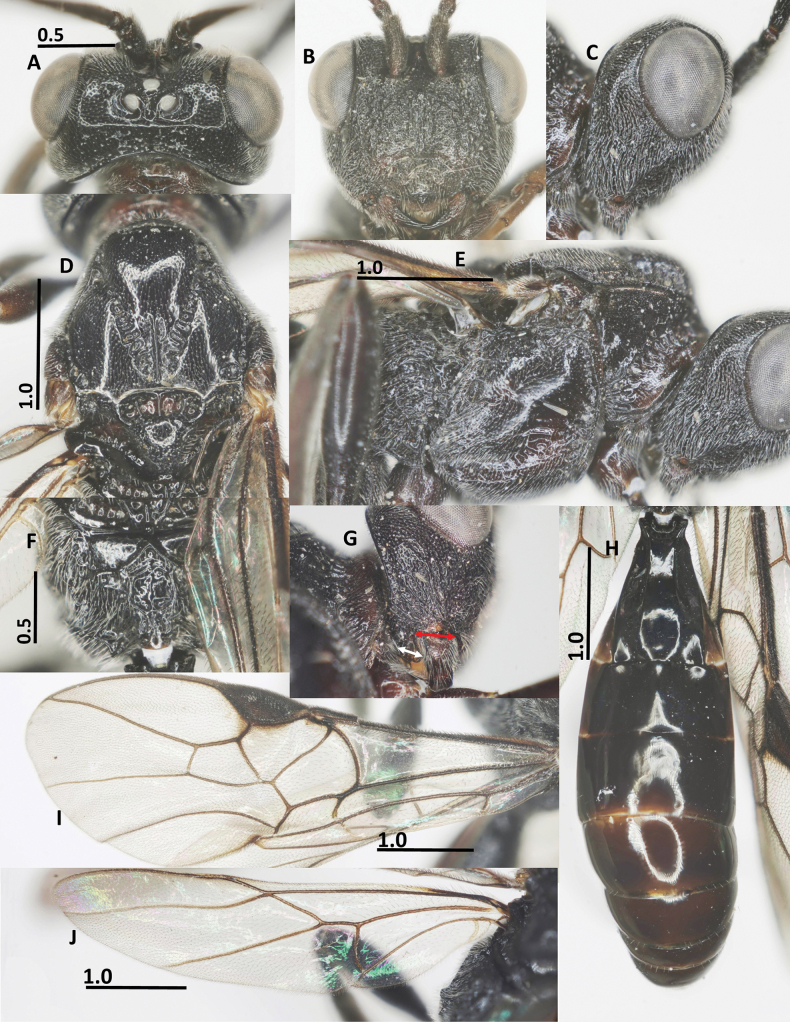 Figure 14