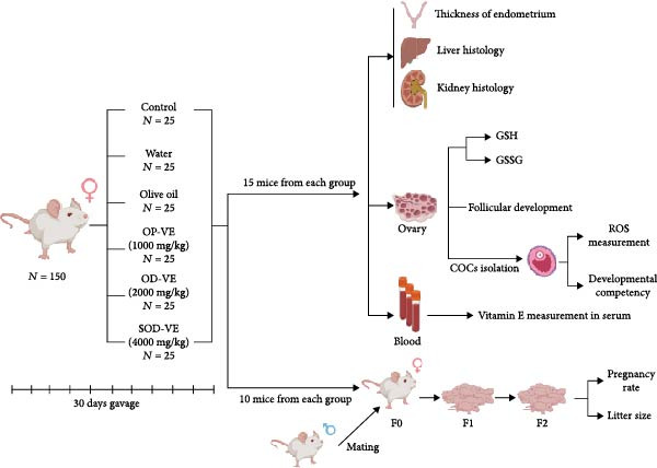 Figure 19