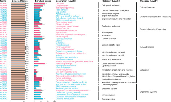 Figure 22