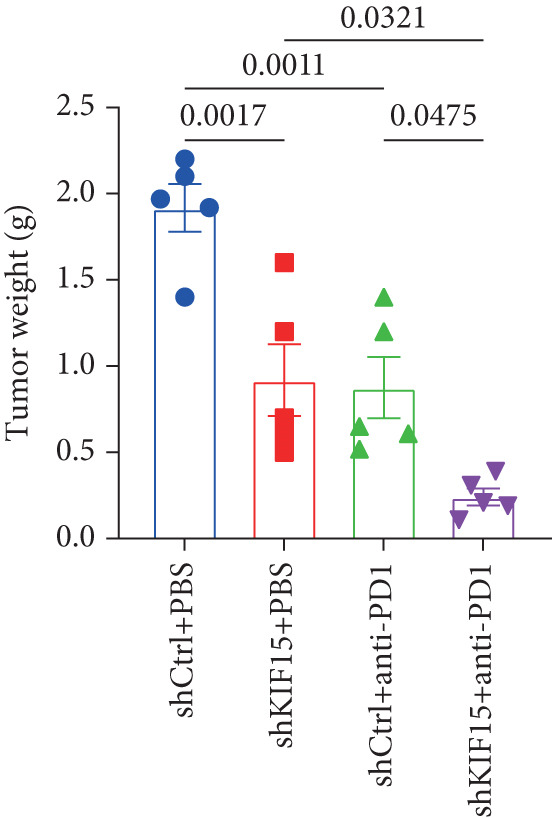 Figure 25
