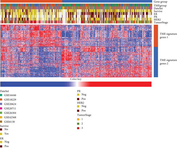 Figure 31