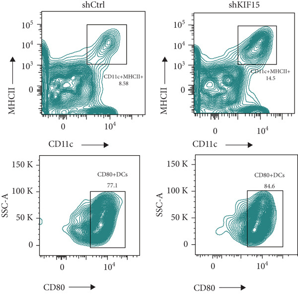 Figure 32