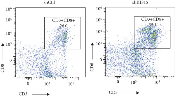 Figure 33