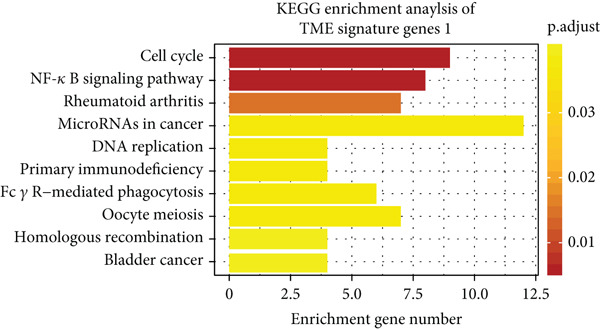 Figure 35