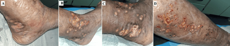 Figure 4