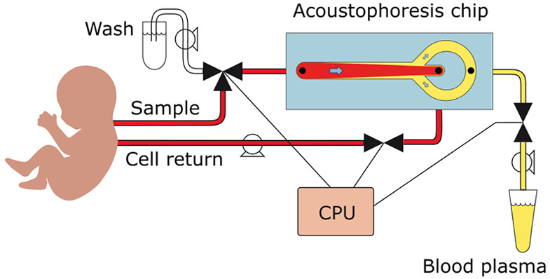 Figure 7
