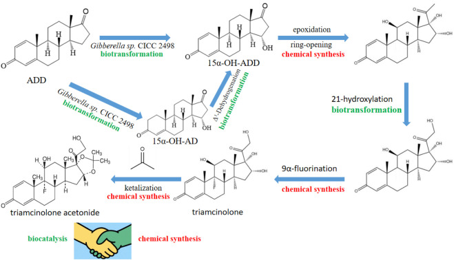 Figure 7
