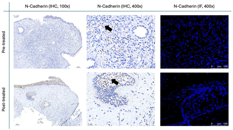 Figure 12