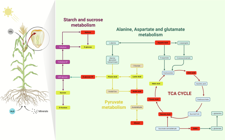 Figure 6