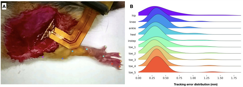 Figure 5