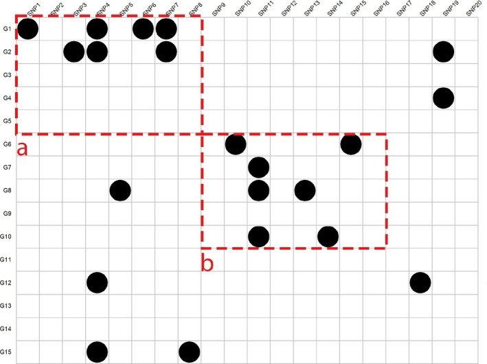 Figure 9
